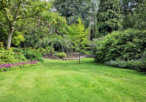 Optimiser l'expérience du jardin à Roannes-Saint-Mary